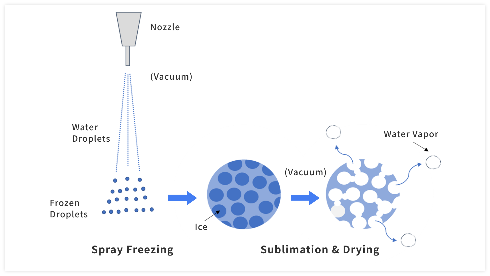 The Process of Freeze Drying Under Vacuum